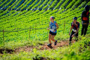 BIB: 
                            <button type="button" onclick="openModal(19161676)" class="btn btn-primary btn-sm float-right btn-popup" data-toggle="modal" data-target=".modal-high-quality">
                        <i class="fas fa-shopping-cart"></i> Add to Cart
                    </button>
                                            <button type="button" onclick="isThisMe(19161676, true)" class="btn btn-success btn-sm float-right btn-popup btn-isme hidden" data-toggle="tooltip" data-placement="bottom" title="นี่คือรูปของคุณใช่ไหม คลิกที่นี่เพื่อเอาเข้าอัลบั้ม">
                        <i class="fas fa-plus"></i> Add to album
                    </button>
                    <button type="button" onclick="isThisMe(19161676, false)" class="btn btn-warning btn-sm float-right btn-popup btn-isnotme hidden">
                        <i class="fas fa-ban"></i> Remove from album
                    </button>